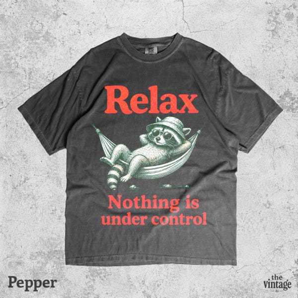 Vintage Retro Comfort Colors Relax Nothing Is Under Control Shirt vintage graphic tee by TheVintageBy